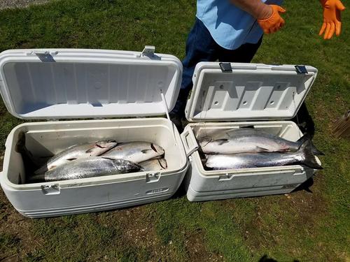 32720199_10216992466430795_7159539886331002880_n.jpg?_nc_cat=0&oh=4d7487b012906822c40113e0c2d806f0&oe=5B9A296A