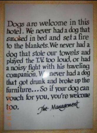 dogs_in_hotel_welcome.jpg