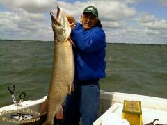 51in. long 25in. girth weight just under 40 lb. caught on 12lb test line. fishing for walleye on Lake St Clair in May.