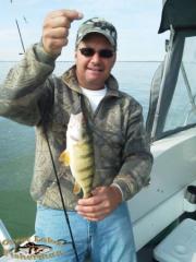 Gene with a Lake Erie jumbo perch caught aboard Stray Cat Charters near Monroe, Michigan