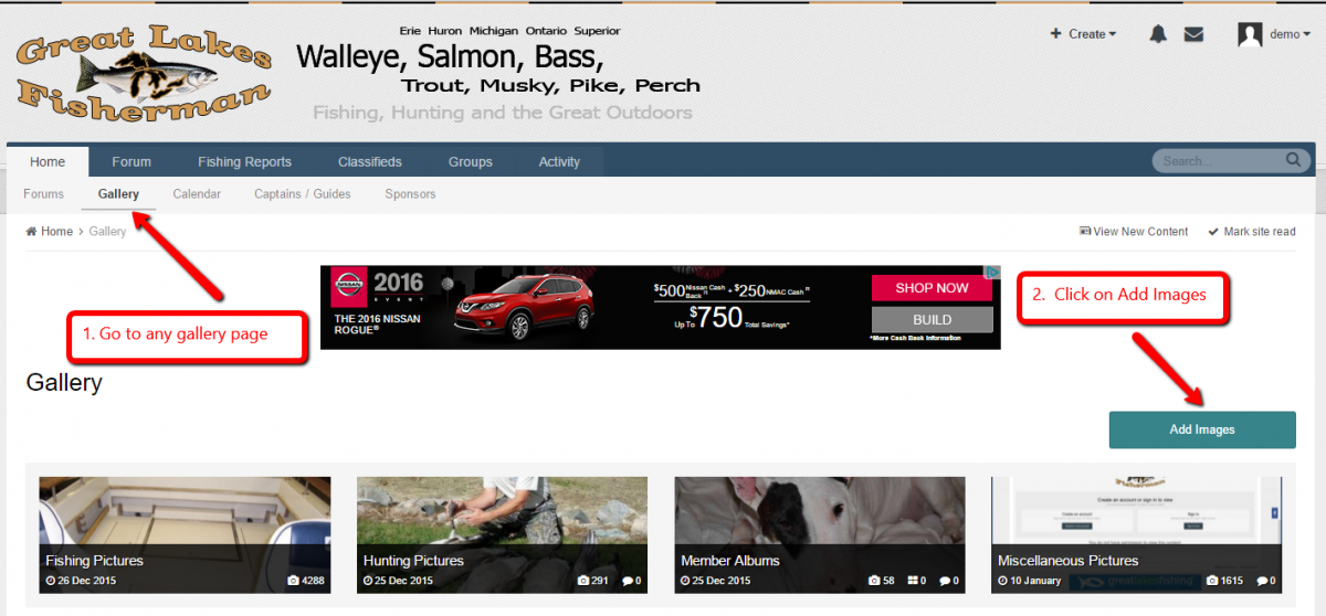 gallerytopost1.png.14bbd5bd7bbcbb8ab7597