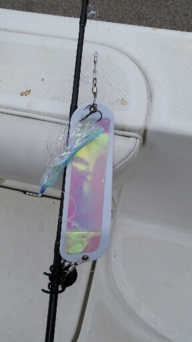 2016-04-29 18.57.42.jpg