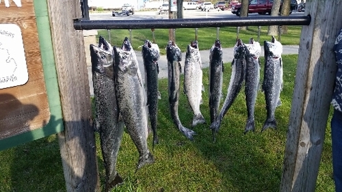 2016-05-06 21.09.42.jpg