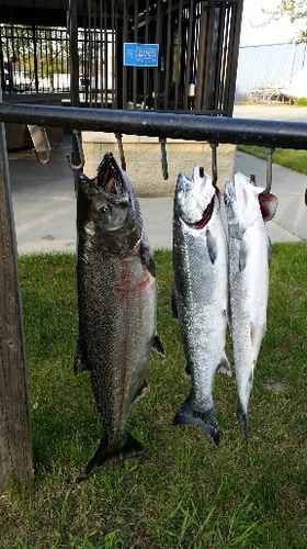 2016-05-19 21.34.37.jpg