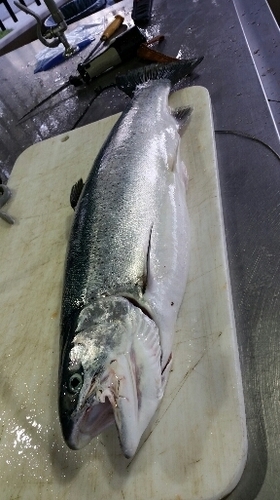 2016-05-23 21.14.42.jpg