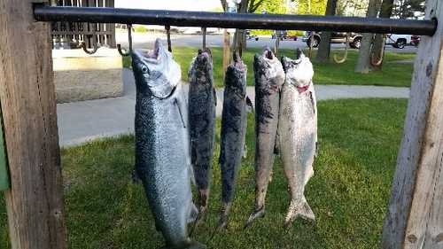 2016-05-23 21.13.42.jpg