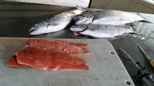 2016-05-23 21.15.07.jpg