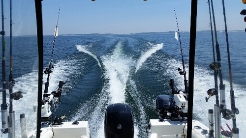 2016-05-24 08.35.59.jpg