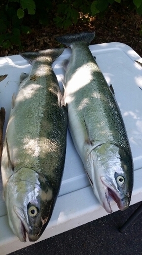 2016-06-03 16.51.15.jpg