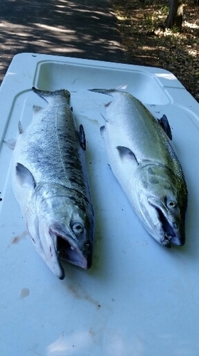 2016-06-15 21.31.50.jpg