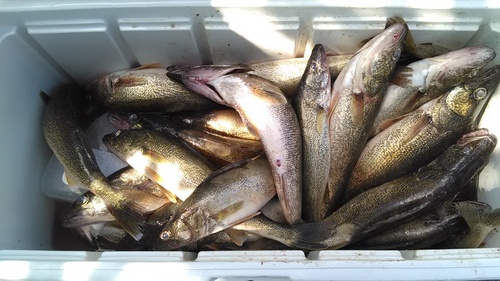 Mon 7-25-16, 32 Fish box.jpg