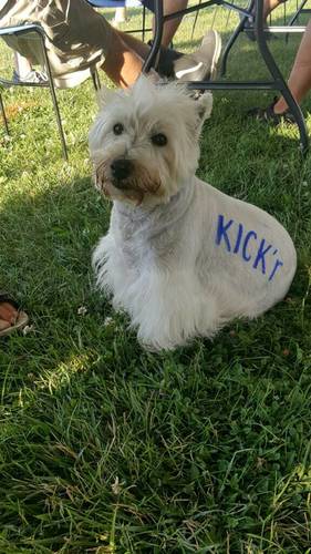 imagejpeg_0.thumb.jpeg.a300216b4909007bc