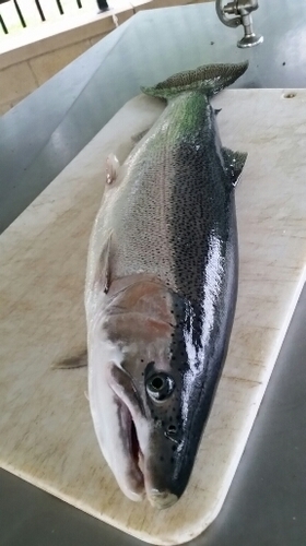 2016-09-07 11.27.25.jpg