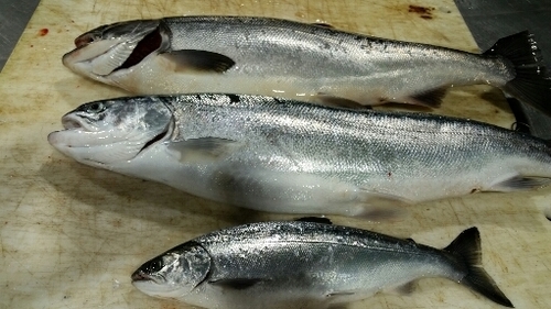 2016-09-24 22.06.59.jpg