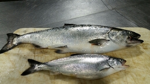 2016-10-04 21.33.04.jpg