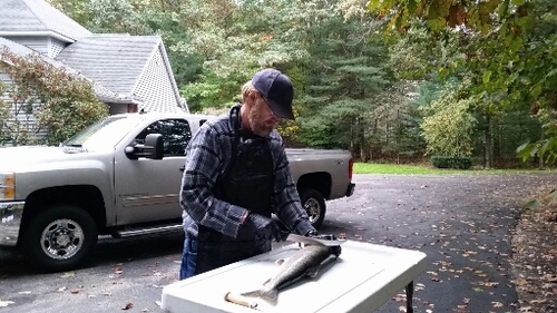 2016-10-27 17.51.05.jpg