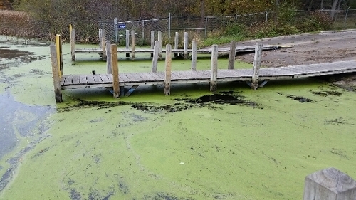 2016-10-28 14.16.11.jpg