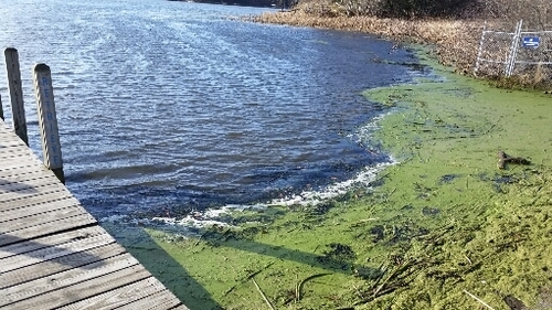 2016-11-29 12.49.14.jpg