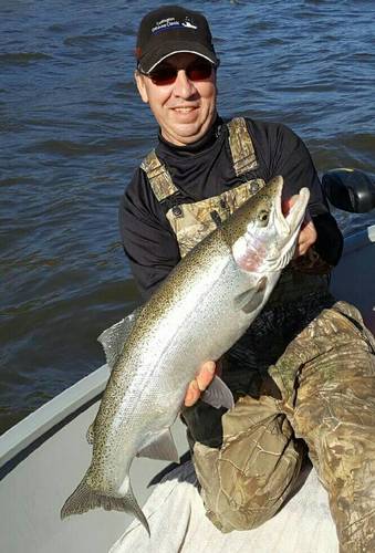 1485045856511.thumb.jpg.d067242831ac250c