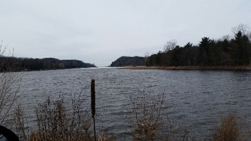 2017-02-14 12.43.04.jpg