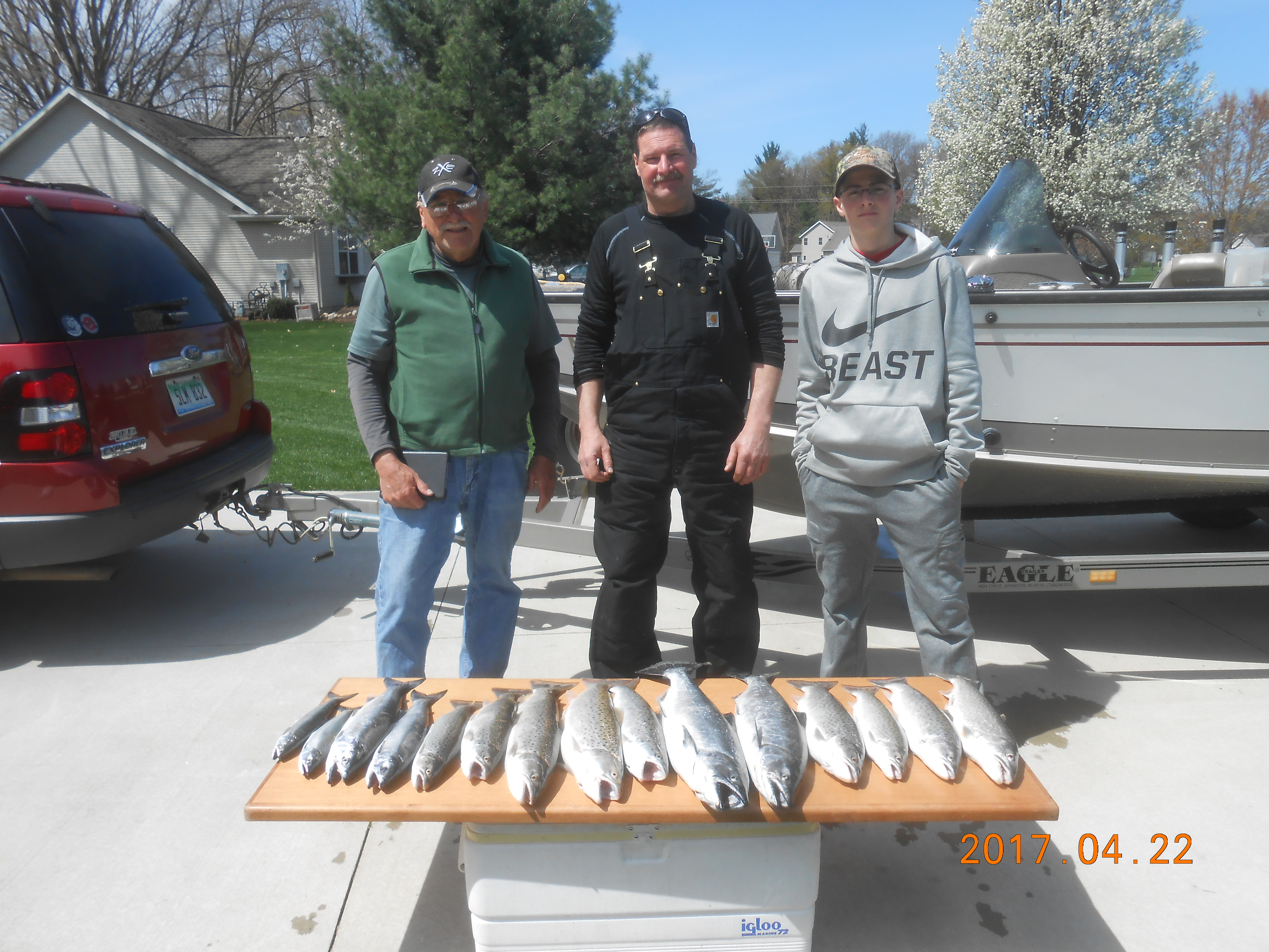 590365336b93f_browntrout(5).JPG.46004fa1