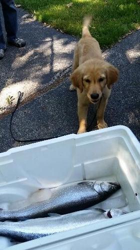 2017-06-21 19.20.59.jpg