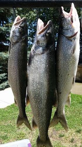 2017-07-04 15.21.31.jpg