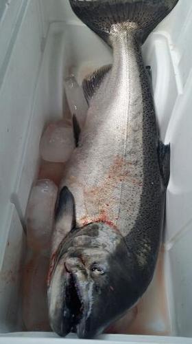 2017-08-21 15.07.45.jpg