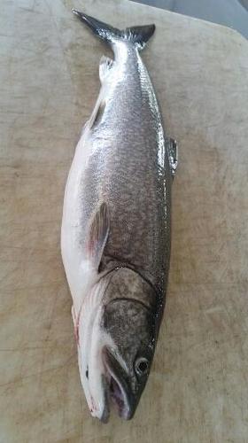 2017-09-14 14.20.28.jpg