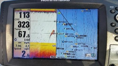 2017-09-20 13.38.44.jpg