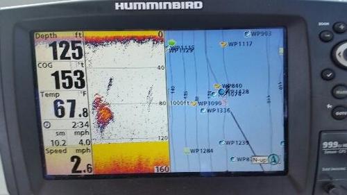 2017-09-20 13.37.52.jpg