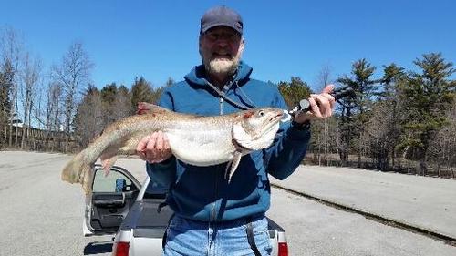 2018-03-23 16.14.38.jpg