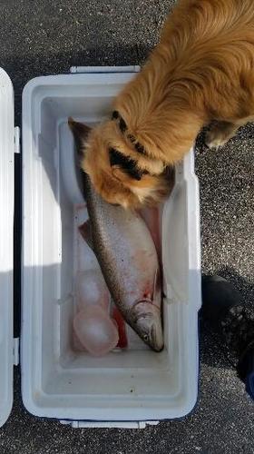 2018-03-16 18.57.59.jpg