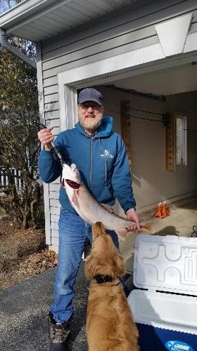 2018-03-16 18.58.50.jpg