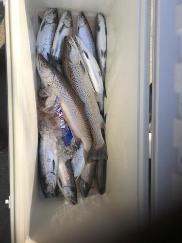 12 Coho 2 Browns 23Apr.JPG