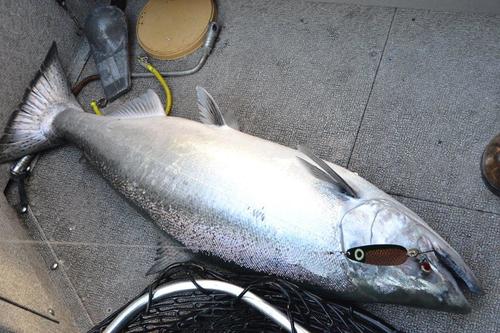 HammerTime_1 4-7-18.jpg