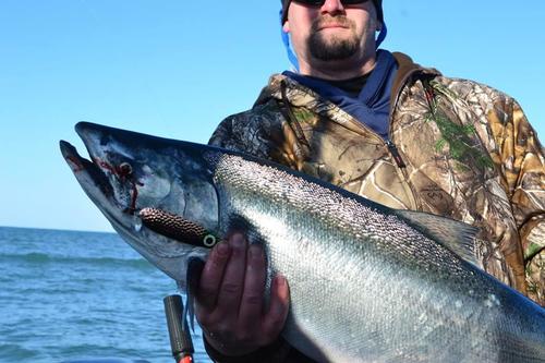 HammerTime_4 4-7-18.jpg