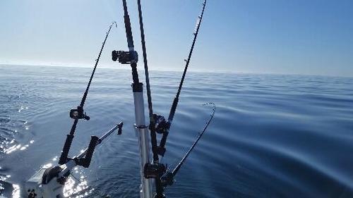 2018-04-20 18.44.20.jpg