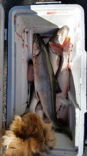 2018-04-20 18.43.28.jpg