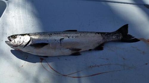 2018-04-20 18.44.59.jpg