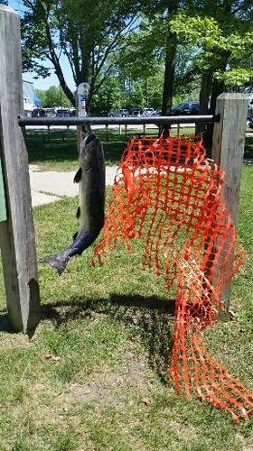 2018-06-02 16.37.16.jpg