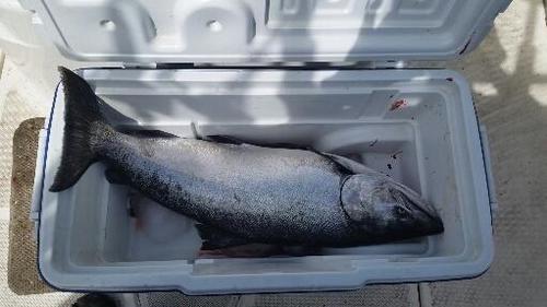 2018-06-02 11.50.26.jpg