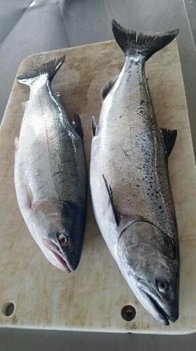 2018-08-07 13.27.56.jpg