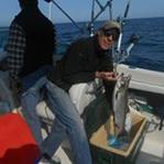 Bluefinn Fisher