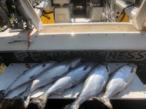 IMG_1131 sh 5 big kings.jpg