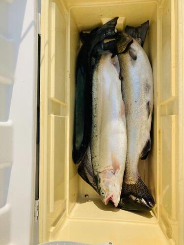 Catch with Tom 07-25-21.jpg