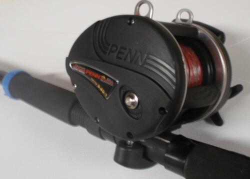 Penn 340 GTI core'n half s.JPG