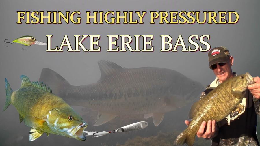 Lake Erie Fishing for Pressured Bass - Fishing Videos - Great