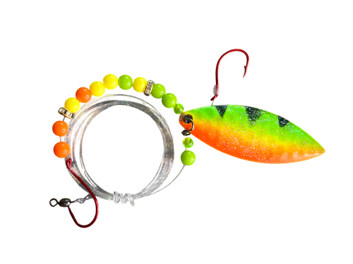 tiger fang d custom spinner rig.png