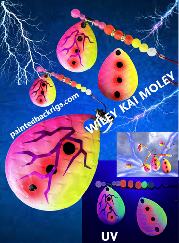 wileyt kai moley.png